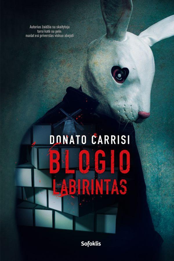 Blogio labirintas