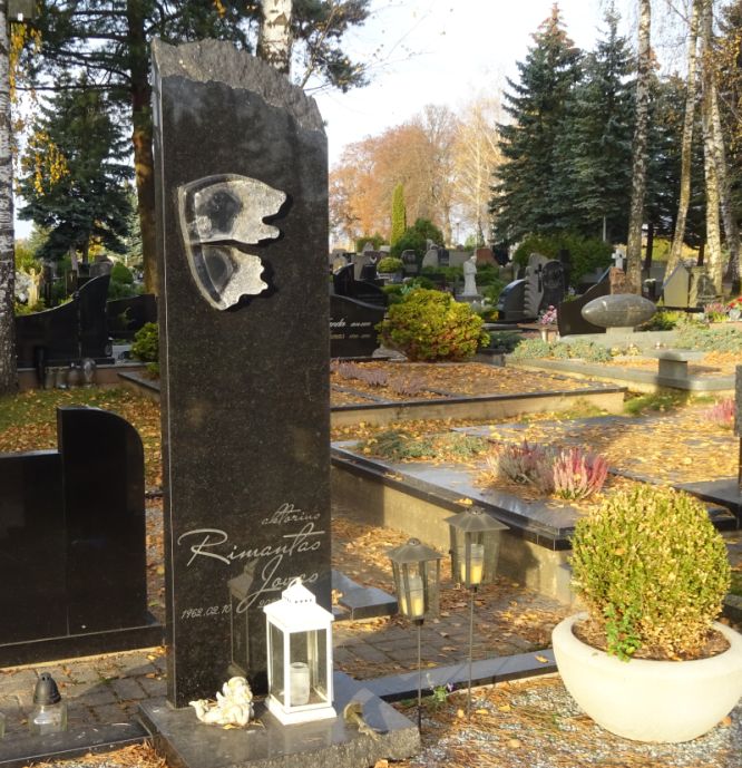 Paminklas Rimantui Jovui, spalvota nuotrauka