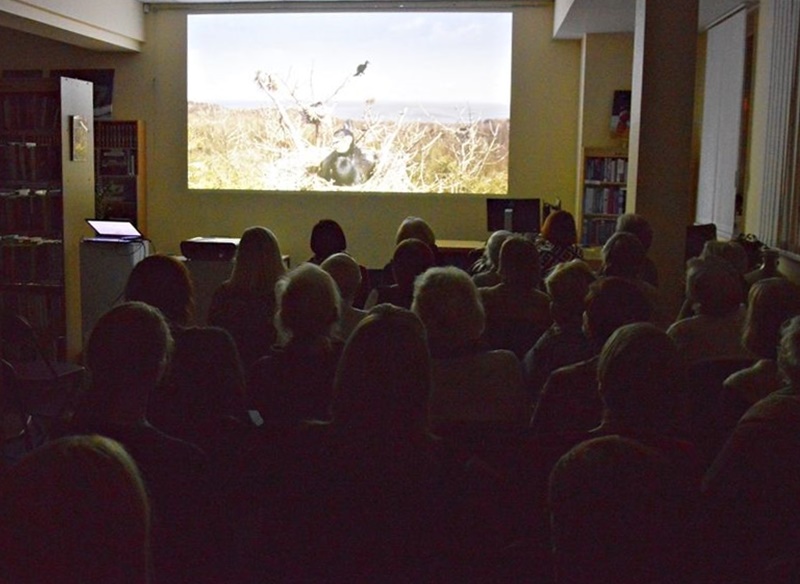 Smėlynės bibliotekoje – Rugilės Barzdžiukaitės apokaliptinis filmas „Rūgštus miškas“