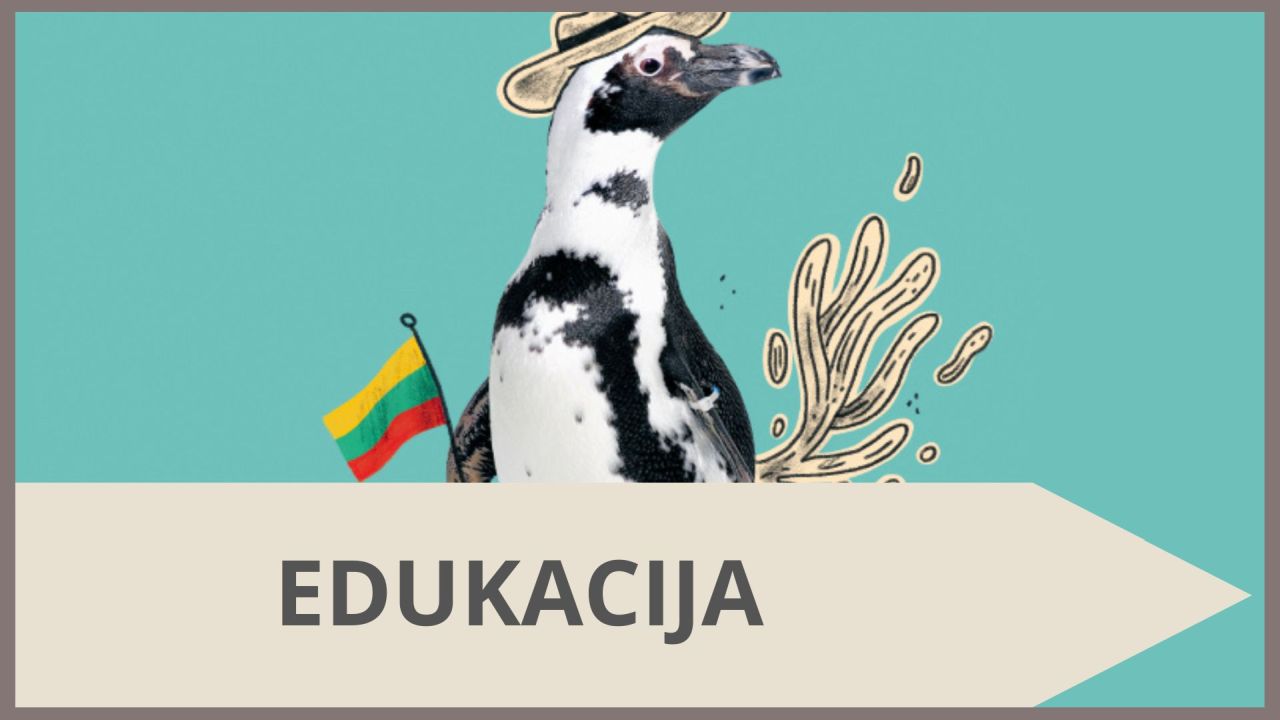 Lietuviško pingvino istorija