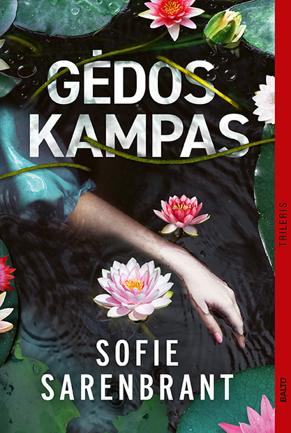 Gėdos kampas