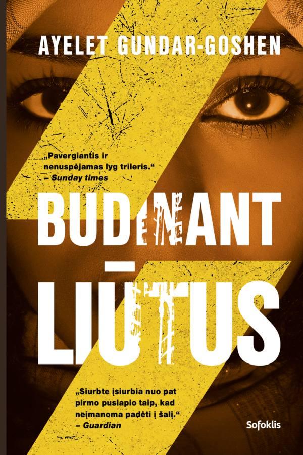 Budinant liūtus